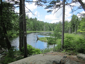 Appalachian Trail Beaver Pond Appalachian Trail Beaver Pond