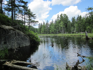 Appalachian Trail Beaver Pond Appalachian Trail Beaver Pond