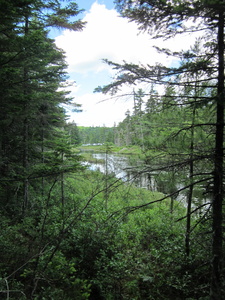 Appalachian Trail North Pond Appalachian Trail North Pond