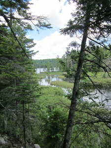 Appalachian Trail North Pond Appalachian Trail North Pond