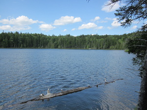 Appalachian Trail Bell Pond Appalachian Trail Bell Pond