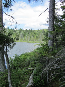 Appalachian Trail Bell Pond Appalachian Trail Bell Pond