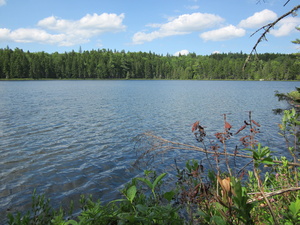 Appalachian Trail Bell Pond Appalachian Trail Bell Pond