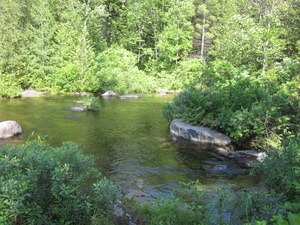 Appalachian Trail Spectacle Pond at lake exit. Appalachian Trail Spectacle Pond at lake exit.