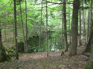 Appalachian Trail Lake Hebron Appalachian Trail Lake Hebron
