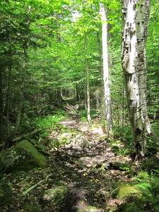 Appalachian Trail Appalachian Trail