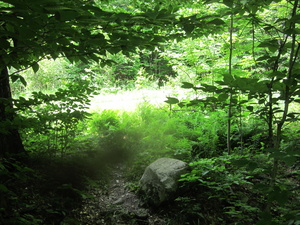 Appalachian Trail Appalachian Trail