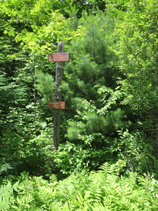Appalachian Trail Two Appalachin Trail North signs on same post Appalachian Trail Two Appalachin Trail North signs on same post