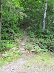 Appalachian Trail Appalachian Trail