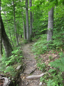 Appalachian Trail Appalachian Trail