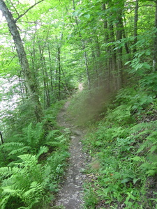 Appalachian Trail Picture with out of focus bug in center Appalachian Trail Picture with out of focus bug in center