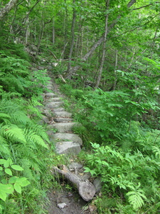 Appalachian Trail Steps Appalachian Trail Steps