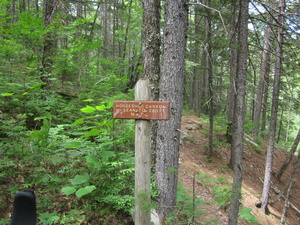 Appalachian Trail Horseshoe Canyon Lean-to sign (North end) Appalachian Trail Horseshoe Canyon Lean-to sign (North end)