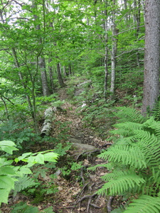Appalachian Trail Appalachian Trail