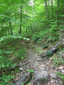 Appalachian Trail Appalachian Trail