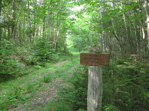 Appalachian Trail Logging road toward Shirley Road Appalachian Trail Logging road toward Shirley Road