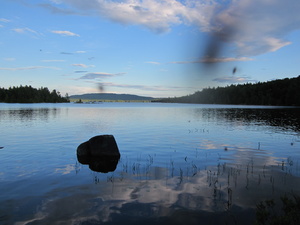 Appalachian Trail Bald Mountain Pond with bugs Appalachian Trail Bald Mountain Pond with bugs