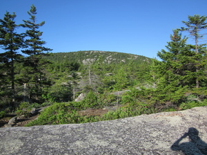 Appalachian Trail with my shadow