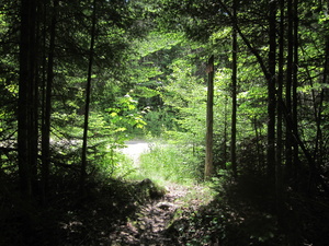 Appalachian Trail Hangtown Road