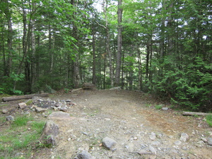 Appalachian Trail Tent site south of Sluice Brook Appalachian Trail Tent site south of Sluice Brook