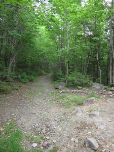 Appalachian Trail Old railroad bed. Appalachian Trail Old railroad bed.