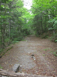 Appalachian Trail Old railroad bed. Appalachian Trail Old railroad bed.