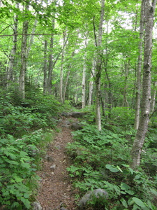 Appalachian Trail Appalachian Trail