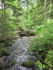 Appalachian Trail Appalachian Trail
