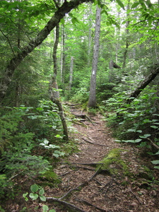 Appalachian Trail Appalachian Trail