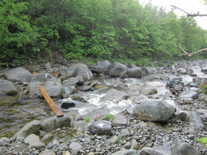 Appalachian Trail The Appalachian Trail The