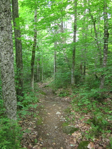 Appalachian Trail 