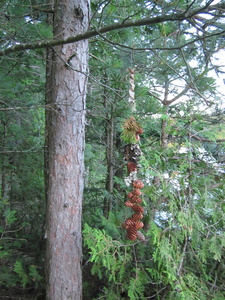 Appalachian Trail Parkside's memorial Appalachian Trail Parkside's memorial