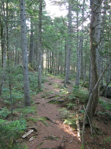 Appalachian Trail Appalachian Trail