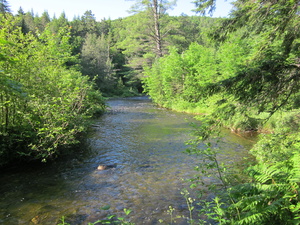 Appalachian Trail Appalachian Trail