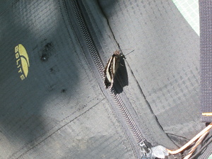 Appalachian Trail Pack & Butterfly Appalachian Trail Pack & Butterfly