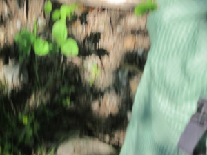 Appalachian Trail Who knows Appalachian Trail Who knows