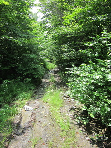 Appalachian Trail Logging road getting to the AT from Mountain Road at the north end of Boarstone Mountain Appalachian Trail Logging road getting to the AT from Mountain Road at the north end of Boarstone Mountain
