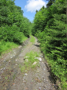 Appalachian Trail Logging road getting to the AT from Mountain Road at the rth end of Boarstone Mountain Appalachian Trail Logging road getting to the AT from Mountain Road at the rth end of Boarstone Mountain