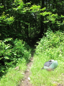 Appalachian Trail 45.399437, -69.447809 Appalachian Trail 45.399437, -69.447809