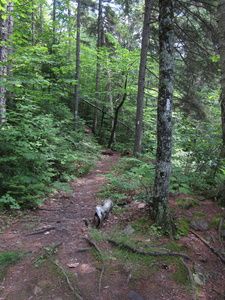 Appalachian Trail Appalachian Trail