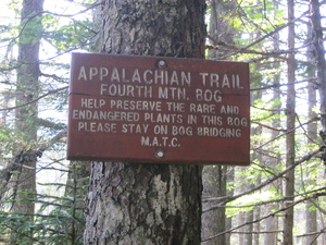 Appalachian Trail Fourth Mountain Bog Appalachian Trail Fourth Mountain Bog