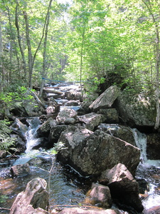 Appalachian Trail Cloud Pond