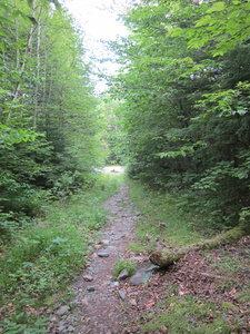 Appalachian Trail Appalachian Trail