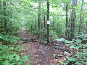 Appalachian Trail 