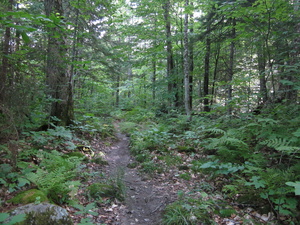 Appalachian Trail 