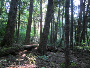 Appalachian Trail Appalachian Trail