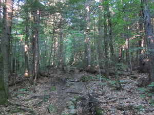 Appalachian Trail Appalachian Trail