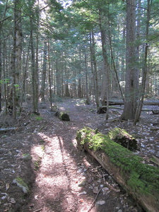 Appalachian Trail Appalachian Trail