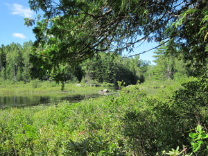 Appalachian Trail Appalachian Trail