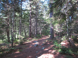 Appalachian Trail Appalachian Trail